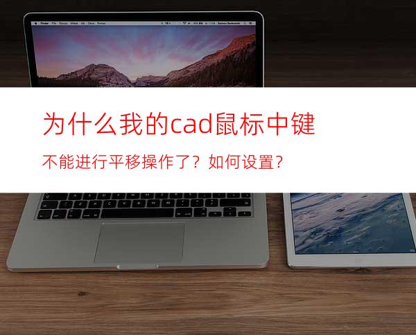 为什么我的cad鼠标中键不能进行平移操作了？如何设置？