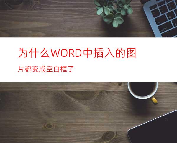 为什么WORD中插入的图片都变成空白框了