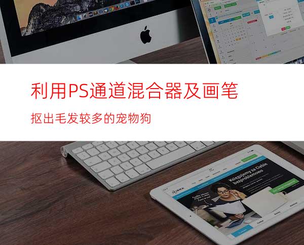 利用PS通道混合器及画笔抠出毛发较多的宠物狗