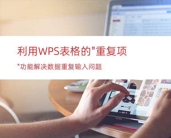 利用WPS表格的