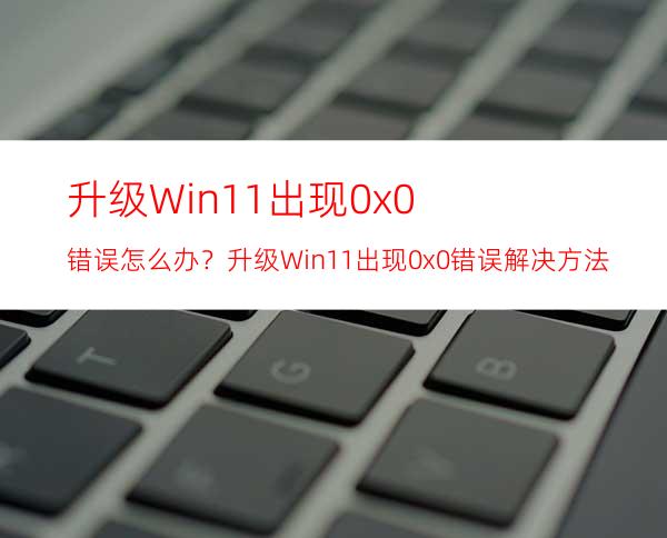 升级Win11出现0x0错误怎么办？升级Win11出现0x0错误解决方法