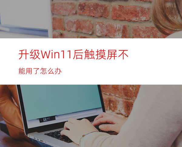 升级Win11后触摸屏不能用了怎么办