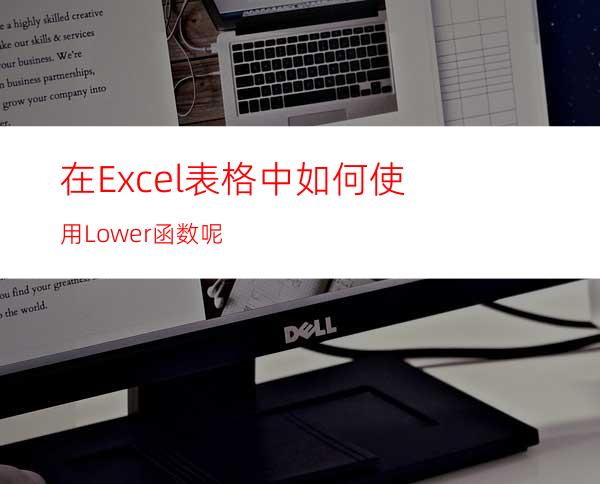 在Excel表格中如何使用Lower函数呢?