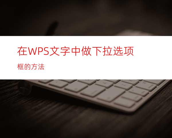 在WPS文字中做下拉选项框的方法