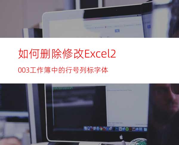 如何删除修改Excel2003工作簿中的行号列标字体