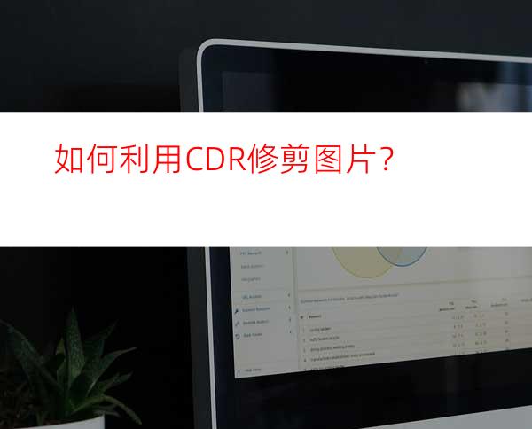 如何利用CDR修剪图片？