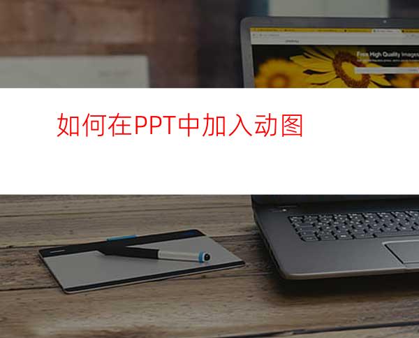 如何在PPT中加入动图