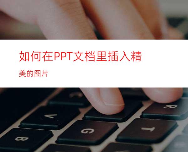 如何在PPT文档里插入精美的图片