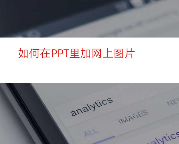 如何在PPT里加网上图片