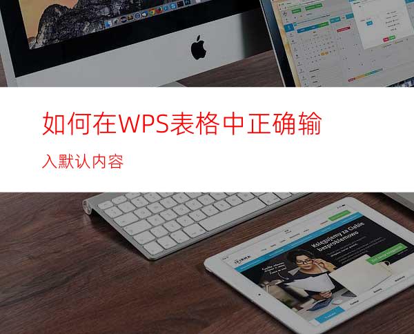 如何在WPS表格中正确输入默认内容