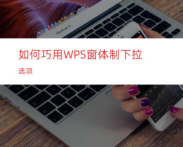 如何巧用WPS窗体制下拉选项