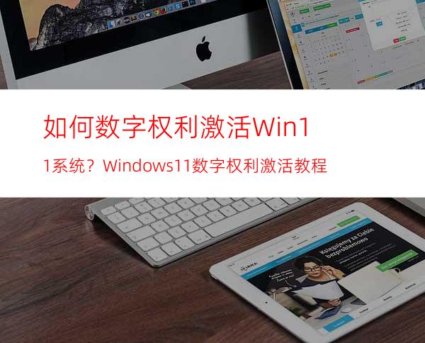 如何数字权利激活Win11系统？Windows11数字权利激活教程