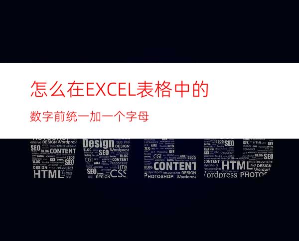 怎么在EXCEL表格中的数字前统一加一个字母?