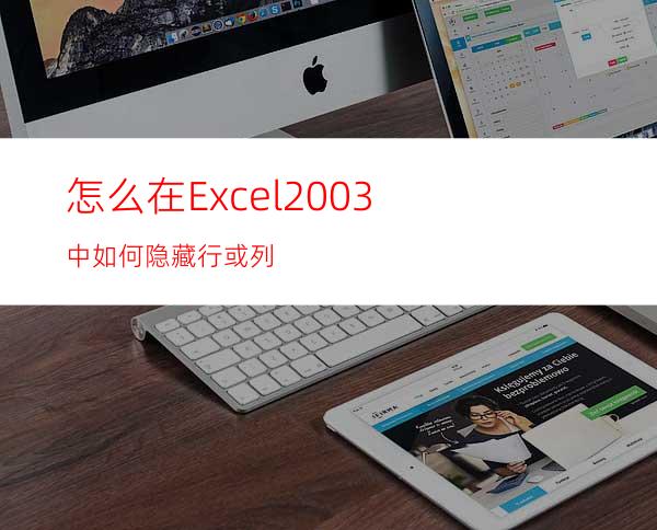 怎么在Excel2003中如何隐藏行或列