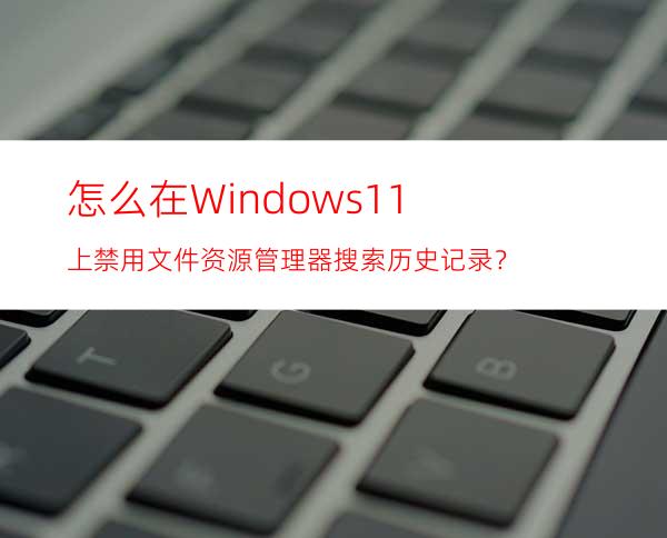 怎么在Windows11上禁用文件资源管理器搜索历史记录？