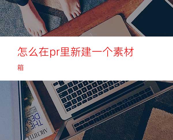 怎么在pr里新建一个素材箱