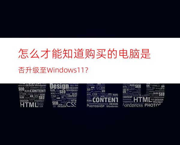 怎么才能知道购买的电脑是否升级至Windows11？