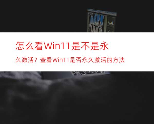 怎么看Win11是不是永久激活？查看Win11是否永久激活的方法