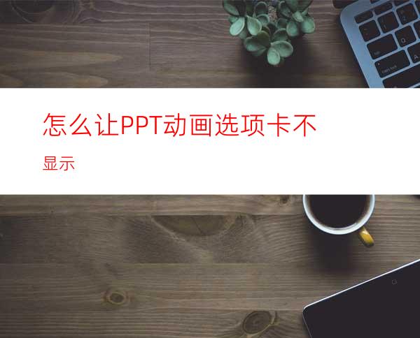怎么让PPT动画选项卡不显示