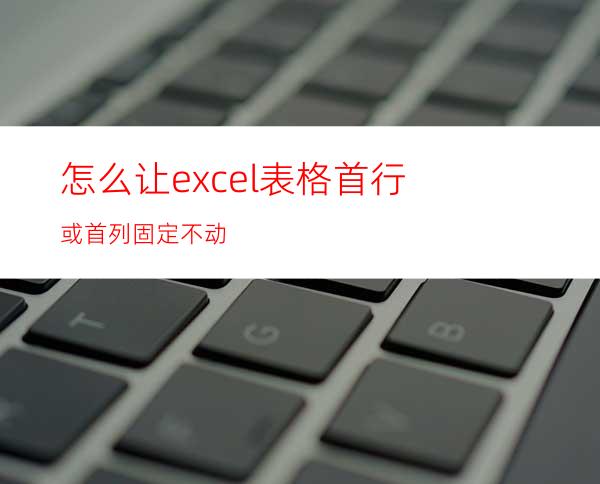 怎么让excel表格首行或首列固定不动