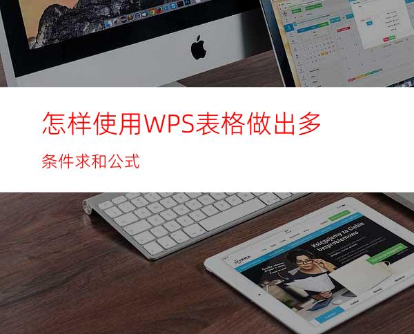 怎样使用WPS表格做出多条件求和公式?