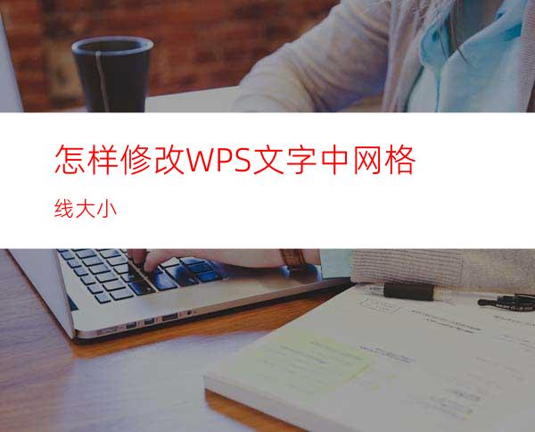 怎样修改WPS文字中网格线大小