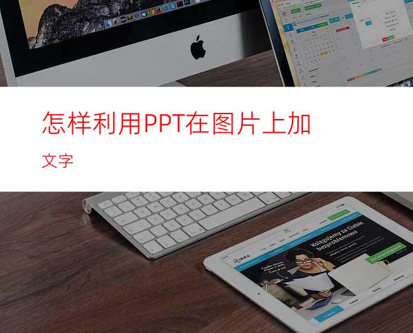 怎样利用PPT在图片上加文字