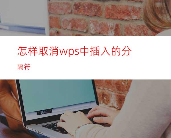 怎样取消wps中插入的分隔符?