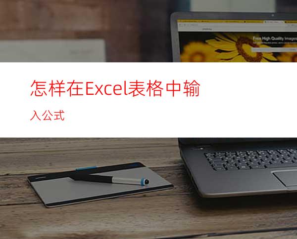 怎样在Excel表格中输入公式