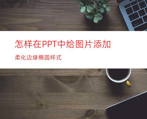 怎样在PPT中给图片添加柔化边缘椭圆样式