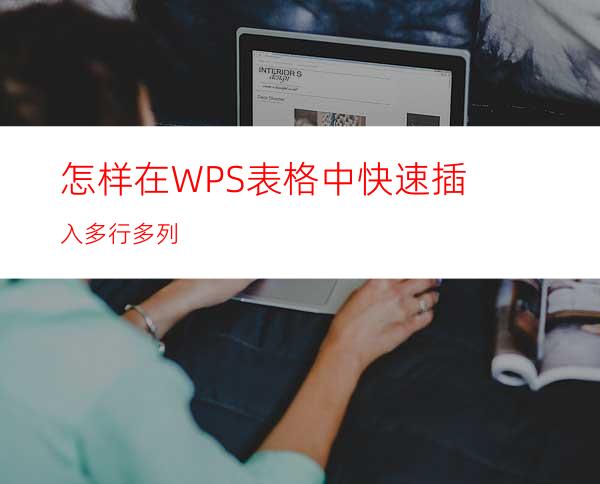 怎样在WPS表格中快速插入多行多列