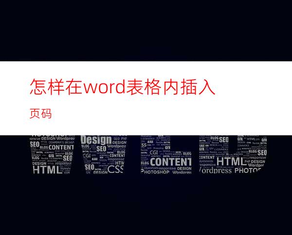 怎样在word表格内插入页码