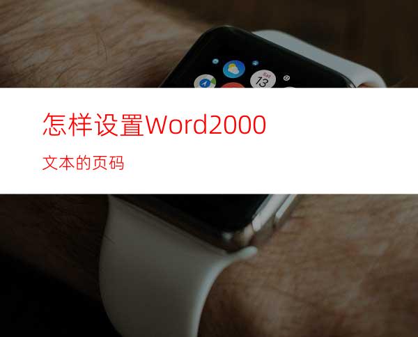 怎样设置Word2000文本的页码