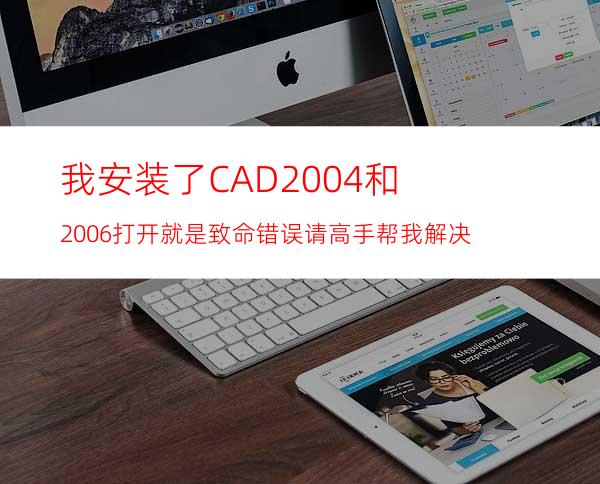 我安装了CAD2004和2006 打开就是致命错误 请高手帮我解决