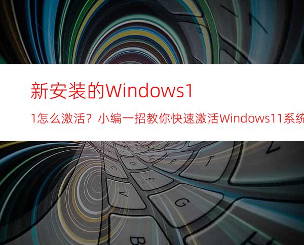 新安装的Windows11怎么激活？小编一招教你快速激活Windows11系统！