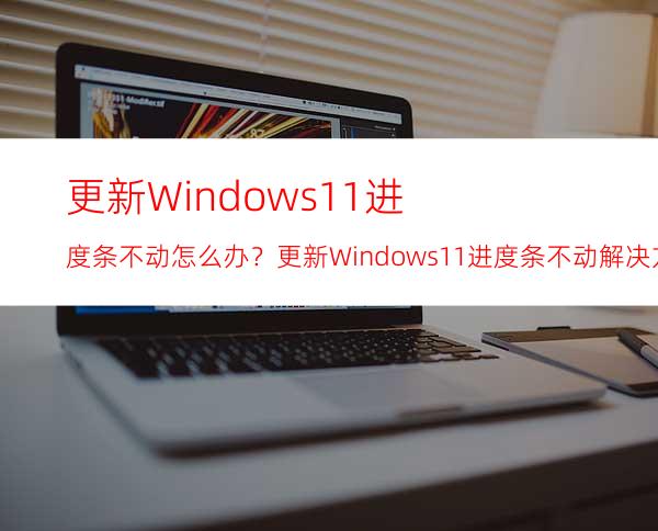 更新Windows11进度条不动怎么办？更新Windows11进度条不动解决方法