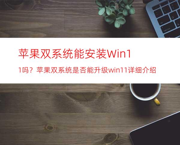 苹果双系统能安装Win11吗？苹果双系统是否能升级win11详细介绍