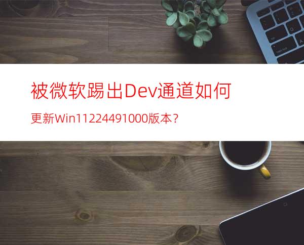 被微软踢出Dev通道如何更新Win1122449.1000版本？