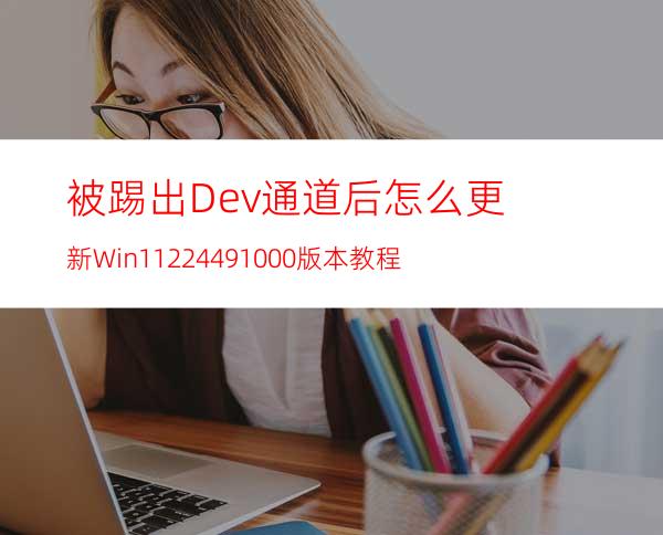 被踢出Dev通道后怎么更新Win1122449.1000版本教程