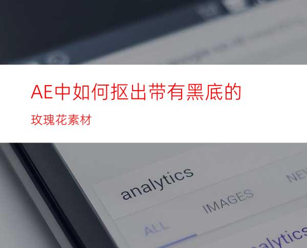 AE中如何抠出带有黑底的玫瑰花素材