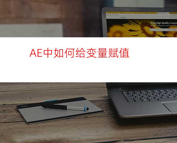 AE中如何给变量赋值