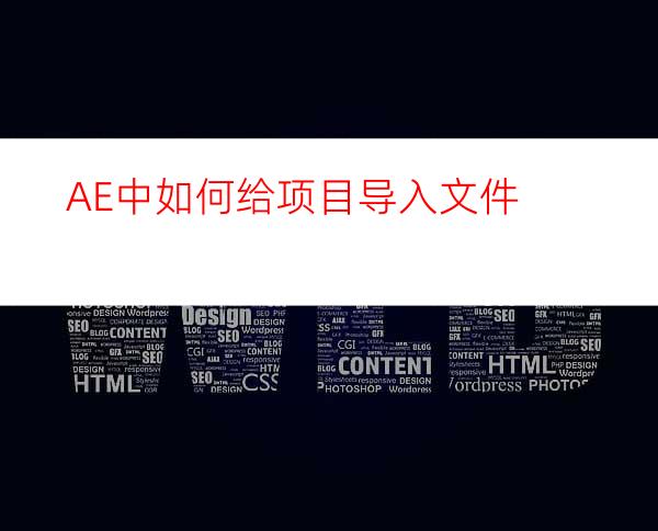 AE中如何给项目导入文件