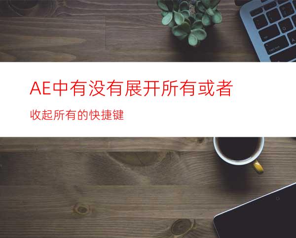 AE中有没有展开所有或者收起所有的快捷键