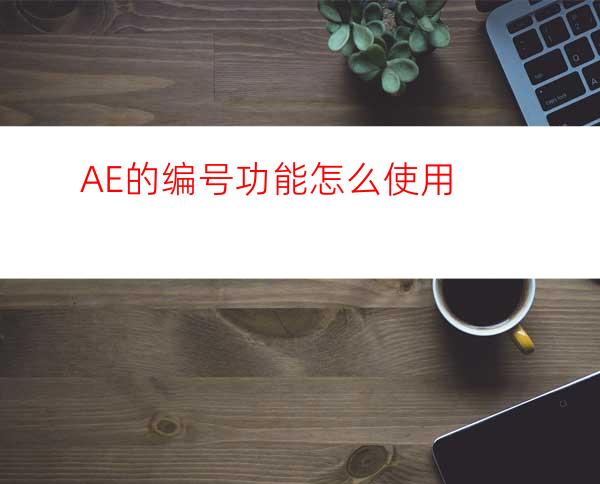 AE的编号功能怎么使用