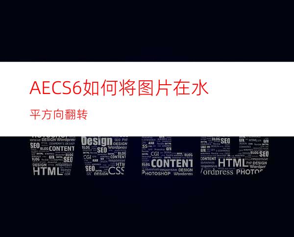 AECS6如何将图片在水平方向翻转