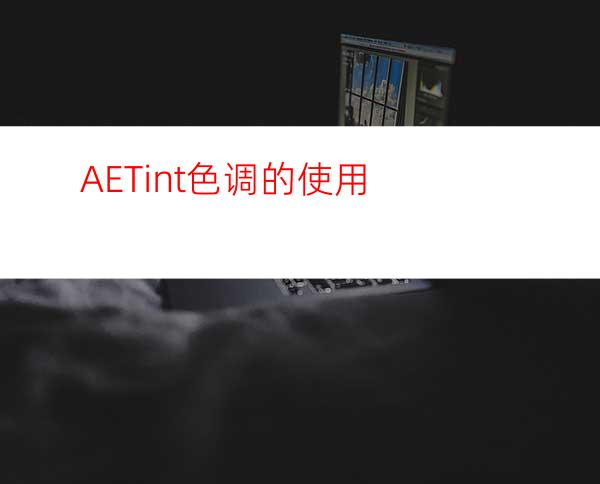 AETint色调的使用