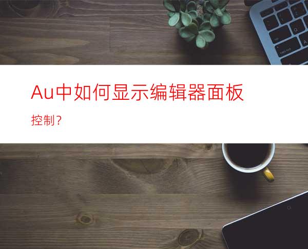 Au中如何显示编辑器面板控制？
