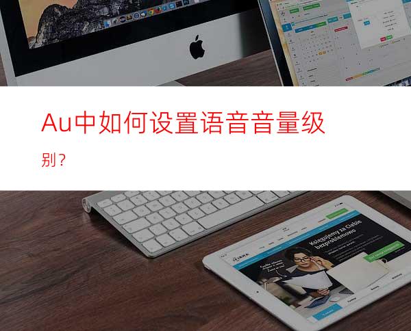 Au中如何设置语音音量级别？