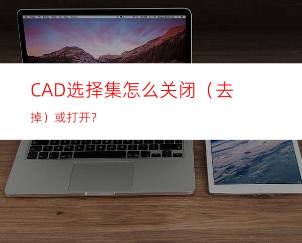 CAD选择集怎么关闭（去掉）或打开？