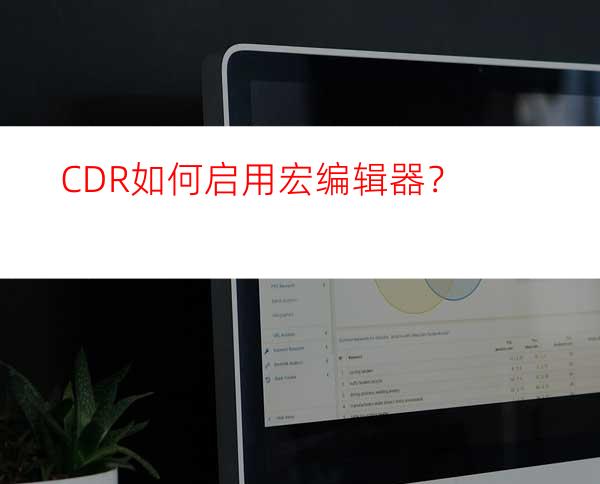 CDR如何启用宏编辑器？